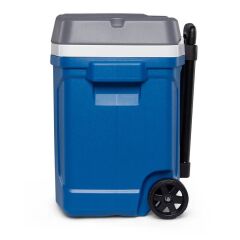 TamKan 25 Litre Güvenlikli Kan Nakil Çantası TK2856