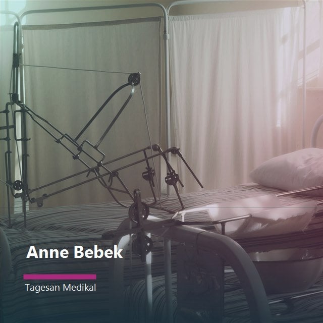 Anne Bebek